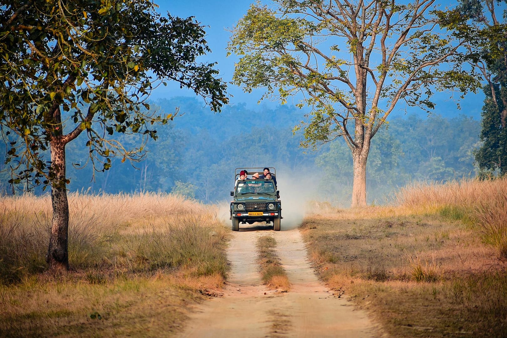 exciting jeep safari adventure in mp india