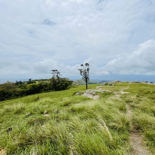 Gopalaswamy Hills aka Himavad Gopalaswamy Betta. Gundlupet, Karnataka, Kerala.
