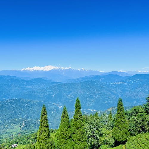Kanchenjunga, Rangli rangliot tea garden, Darjeeling