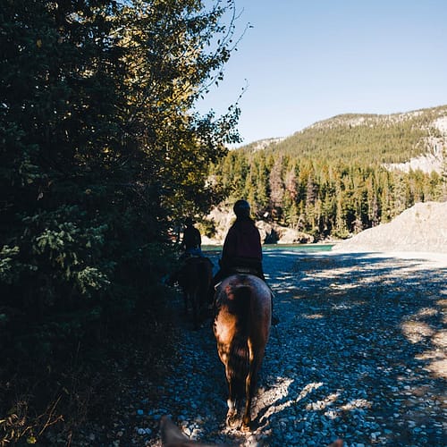 scenic horseback ride in canadian wilderness