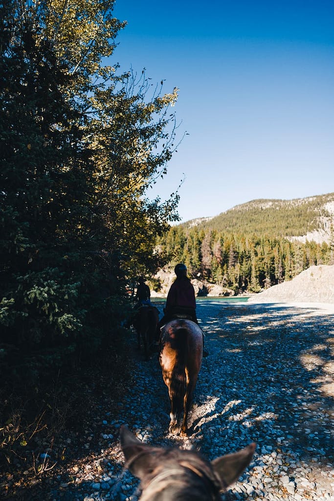 scenic horseback ride in canadian wilderness