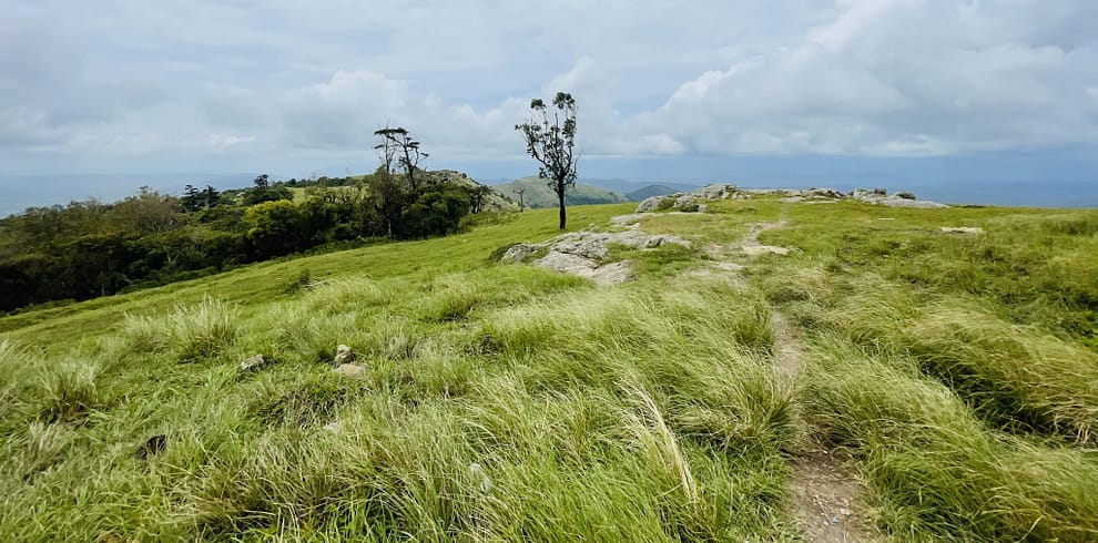 Gopalaswamy Hills aka Himavad Gopalaswamy Betta. Gundlupet, Karnataka, Kerala.
