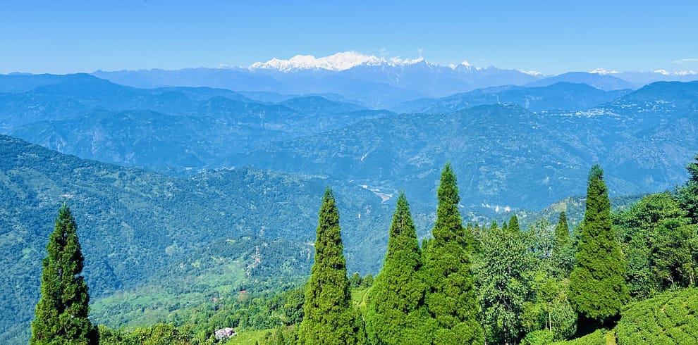 Kanchenjunga, Rangli rangliot tea garden, Darjeeling